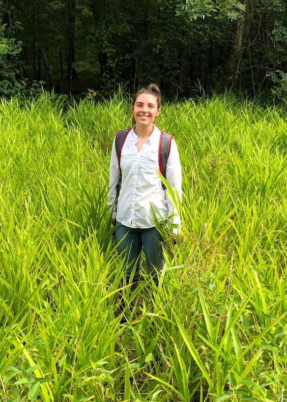 LSU College of Agriculture News for Fall 2020